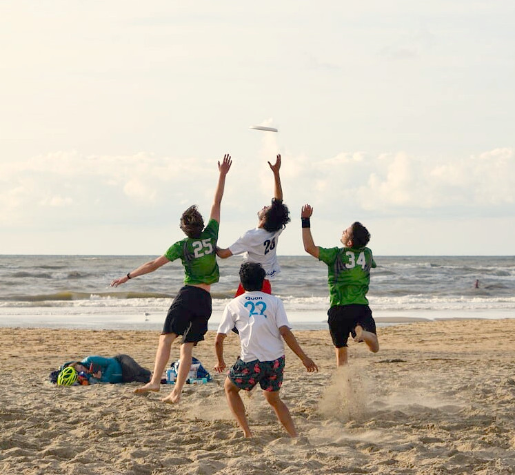 disc devils twente ddt ultimate fisbee beach